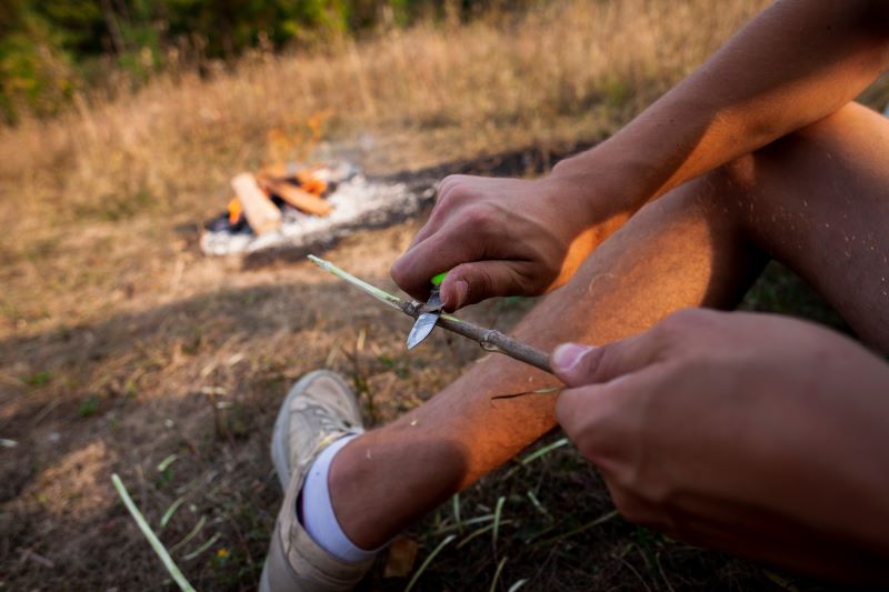 bushcraft définition