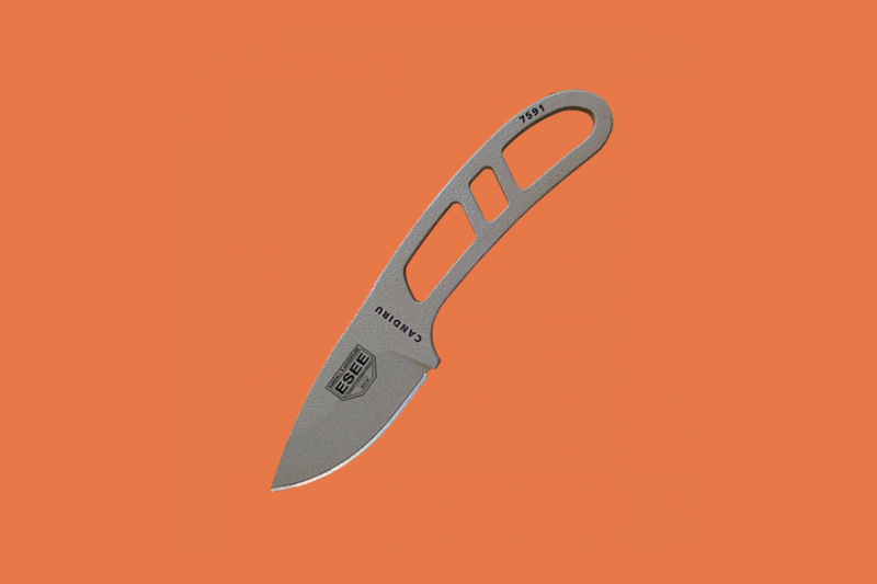esee candiru avis