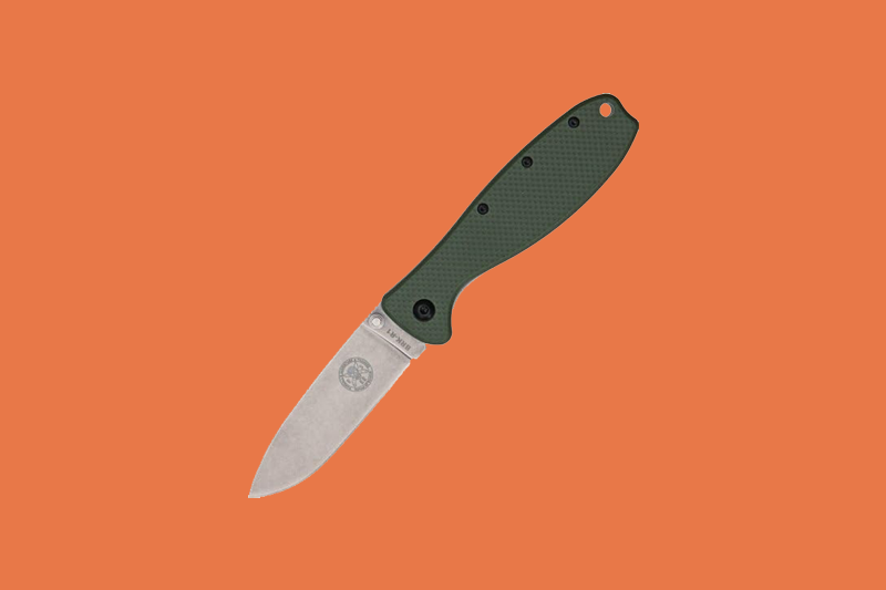 esee zancudo avis